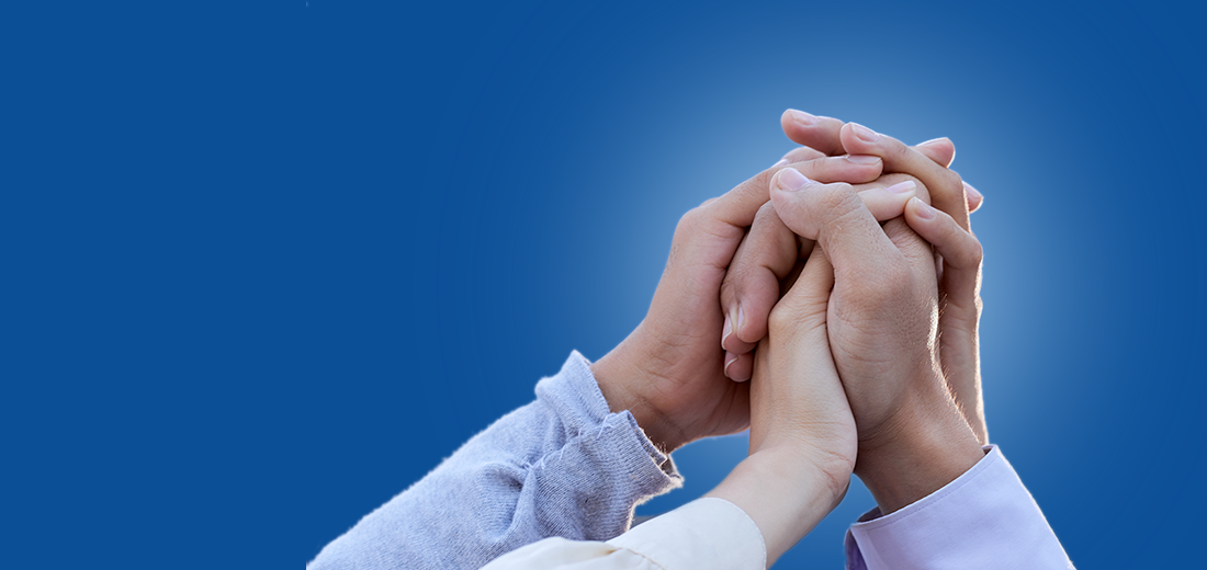 Cabling & Network Solution